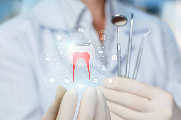 Best Dental Exams and Cleanings  in Linton Hall, VA